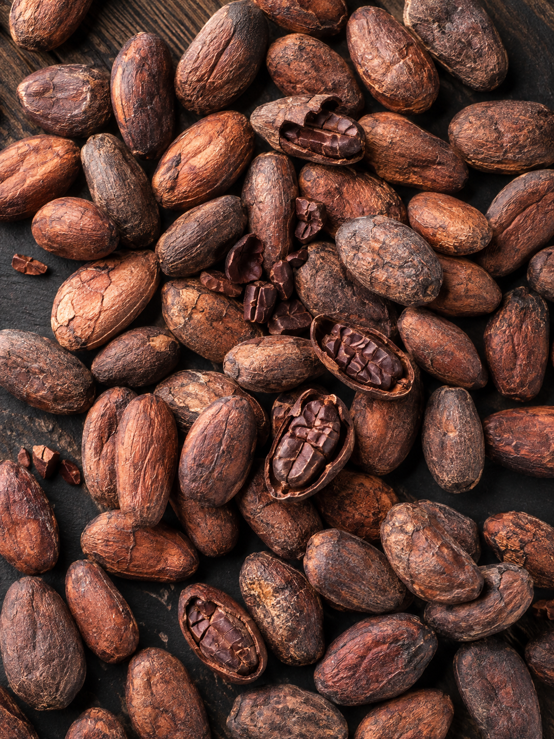 Fermented cocoa beans